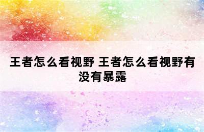 王者怎么看视野 王者怎么看视野有没有暴露